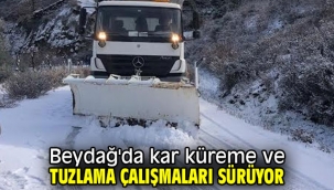 Beydağ'da kar küreme ve tuzlama çalışmaları sürüyor