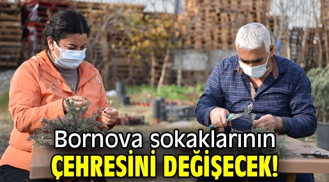 Bornova sokaklarının çehresini değişecek!