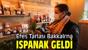 Efes Tarlası Bakkalı'na ıspanak geldi