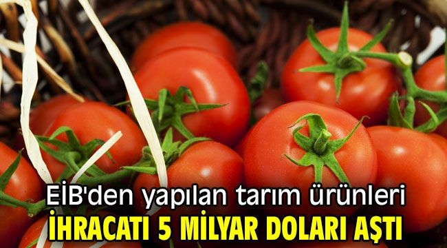 Ege İhracatçı Birlikleri'nden yapılan tarım ürünleri ihracatı 5 milyar doları aştı