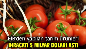 Ege İhracatçı Birlikleri'nden yapılan tarım ürünleri ihracatı 5 milyar doları aştı