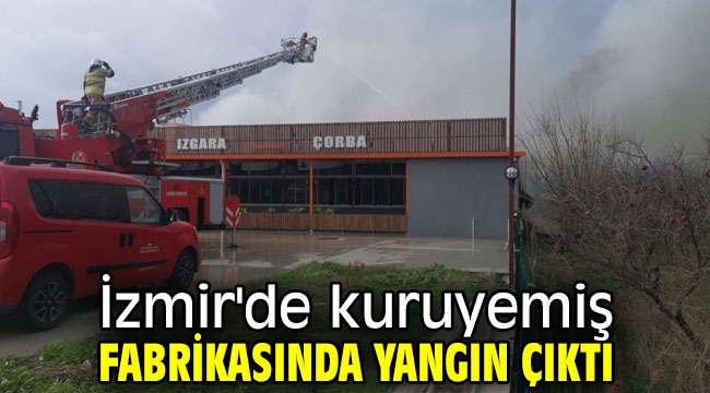 İzmir'de kuruyemiş fabrikasında yangın çıktı