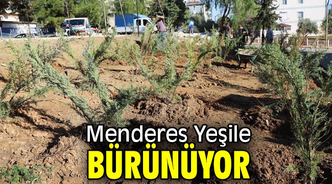 Menderes Yeşile Bürünüyor