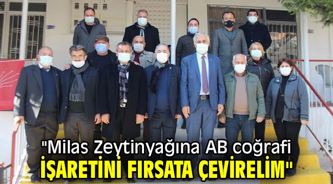 "Milas Zeytinyağına AB coğrafi işaretini fırsata çevirelim"