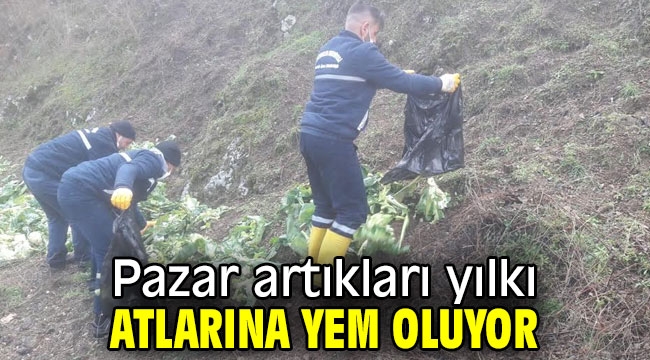 Pazar artıkları yılkı atlarına yem oluyor