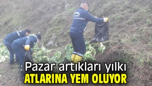 Pazar artıkları yılkı atlarına yem oluyor