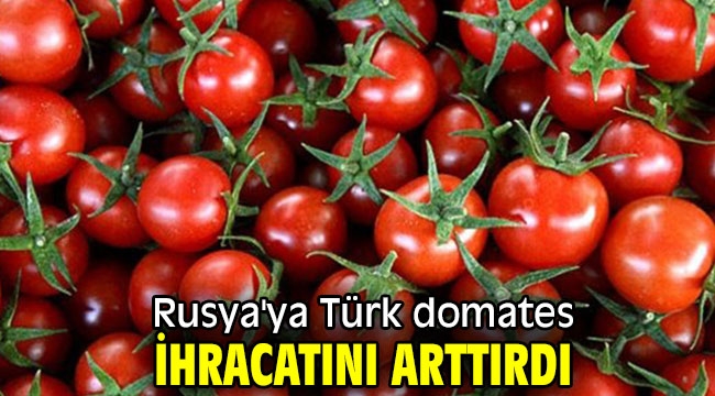 Rusya'ya Türk domates ihracatını arttırdı