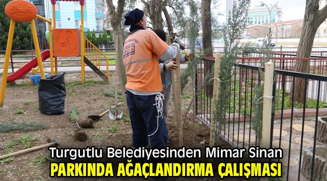 Turgutlu Belediyesinden Mimar Sinan Parkında Ağaçlandırma Çalışması