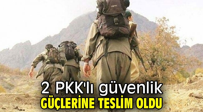 2 PKK'lı güvenlik güçlerine teslim oldu