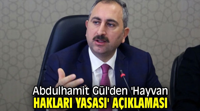 Abdulhamit Gül'den 'Hayvan hakları yasası' açıklaması