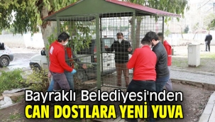 Bayraklı Belediyesi'nden can dostlara yeni yuva