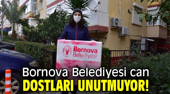 Bornova Belediyesi can dostları unutmuyor!