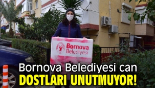 Bornova Belediyesi can dostları unutmuyor!