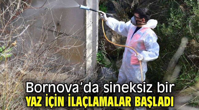 Bornova'da sineksiz bir yaz için ilaçlamalar başladı