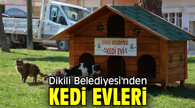 Dikili Belediyesi'nden kedi evleri 