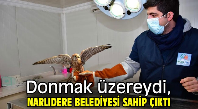 Donmak üzereydi, Narlıdere Belediyesi sahip çıktı