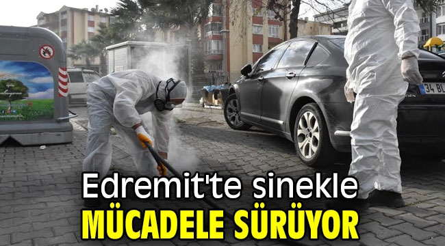 Edremit'te sinekle mücadele sürüyor