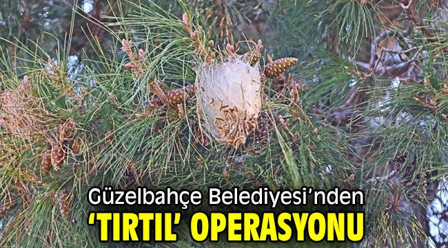 Güzelbahçe Belediyesi'nden 'Tırtıl' Operasyonu