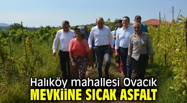 Halıköy mahallesi Ovacık mevkiine sıcak asfalt