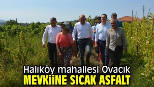 Halıköy mahallesi Ovacık mevkiine sıcak asfalt