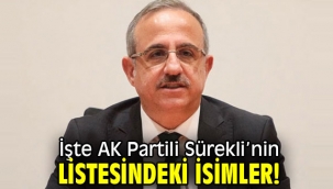 İşte AK Partili Sürekli'nin listesindeki isimler!