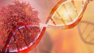 Kanser korkusu ve yanlış bilinenlere dikkat! 