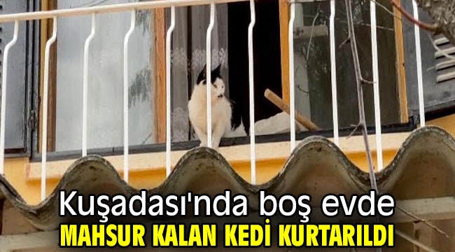 Kuşadası'nda boş evde mahsur kalan kedi kurtarıldı