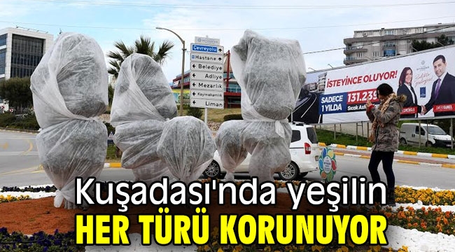 Kuşadası'nda yeşilin her türü korunuyor