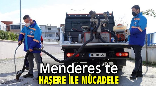 Menderes'te Haşere ile Mücadele Sürüyor