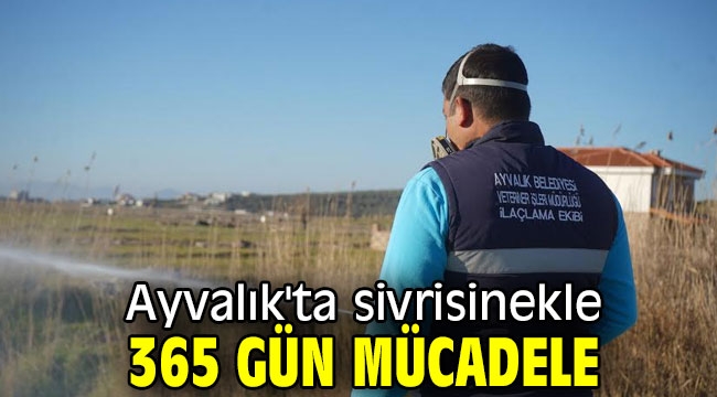 Ayvalık'ta sivrisinekle 365 gün mücadele