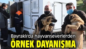 Bayraklı'da hayvanseverlerden örnek dayanışma
