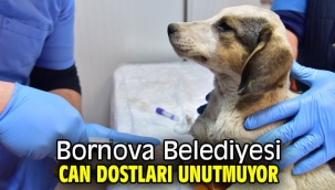 Bornova Belediyesi can dostları unutmuyor