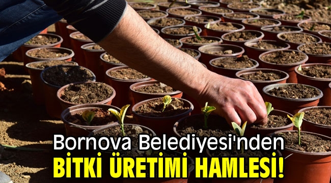 Bornova Belediyesi'nden bitki üretimi hamlesi!