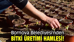 Bornova Belediyesi'nden bitki üretimi hamlesi!