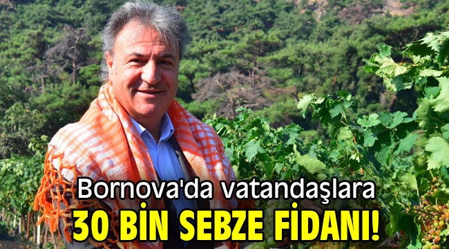 Bornova'da vatandaşlara 30 bin sebze fidanı!