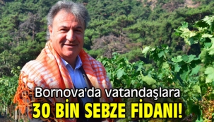 Bornova'da vatandaşlara 30 bin sebze fidanı!