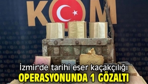 İzmir'de tarihi eser kaçakçılığı operasyonunda 1 gözaltı