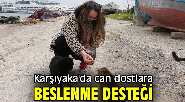 Karşıyaka'da can dostlara beslenme desteği 