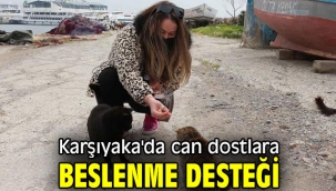 Karşıyaka'da can dostlara beslenme desteği 