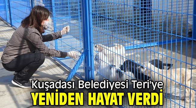 Kuşadası Belediyesi Teri'ye yeniden hayat verdi