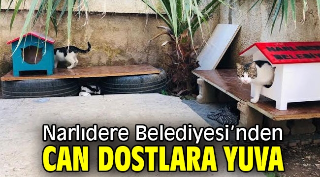 Narlıdere Belediyesi'nden can dostlara yuva