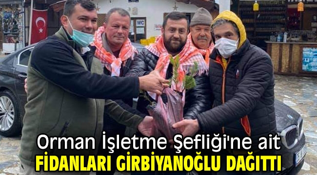 Orman İşletme Şefliğine ait fidanları Girbiyanoğlu dağıttı