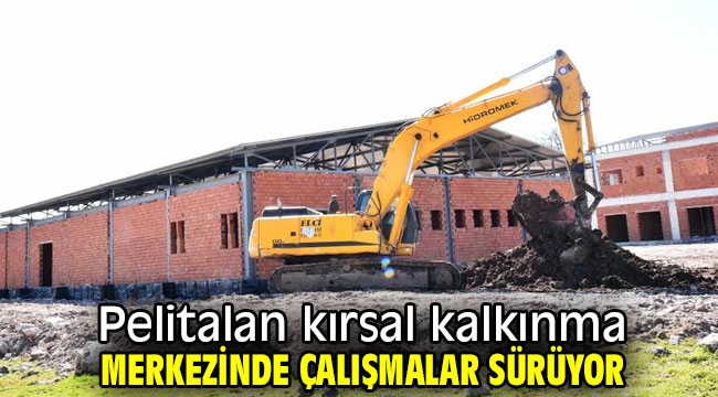 Pelitalan kırsal kalkınma merkezinde çalışmalar sürüyor