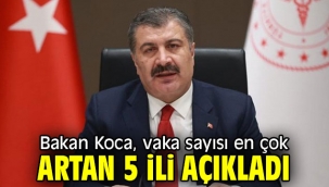 Bakan Koca, vaka sayısı en çok artan 5 ili açıkladı
