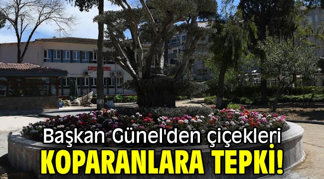 Başkan Günel'den çiçekleri koparanlara tepki!