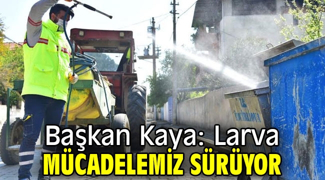 Başkan Kaya: Larva mücadelemiz sürüyor