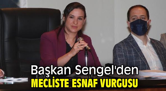 Başkan Sengel'den mecliste esnaf vurgusu