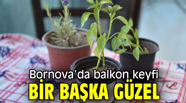 Bornova'da balkon keyfi bir başka güzel