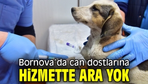 Bornova'da can dostlarına hizmette ara yok