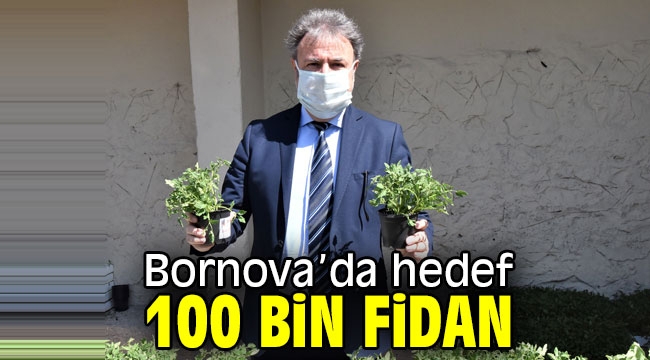 Bornova'da hedef 100 bin fidan